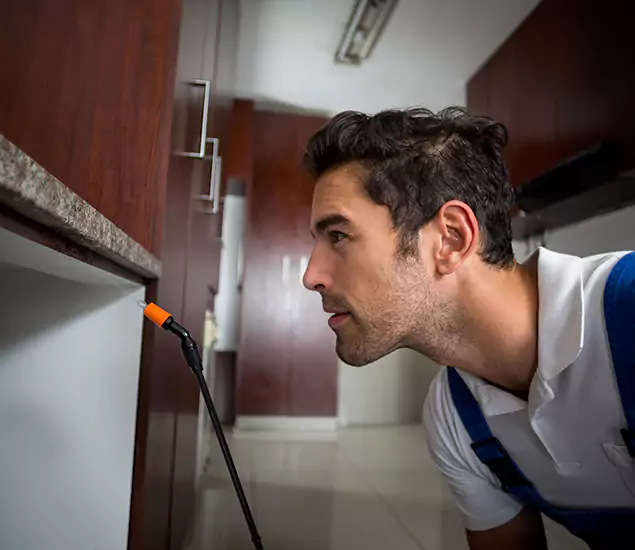 Termite Inspection Cost Experts You Can Trust in Caldwell, ID