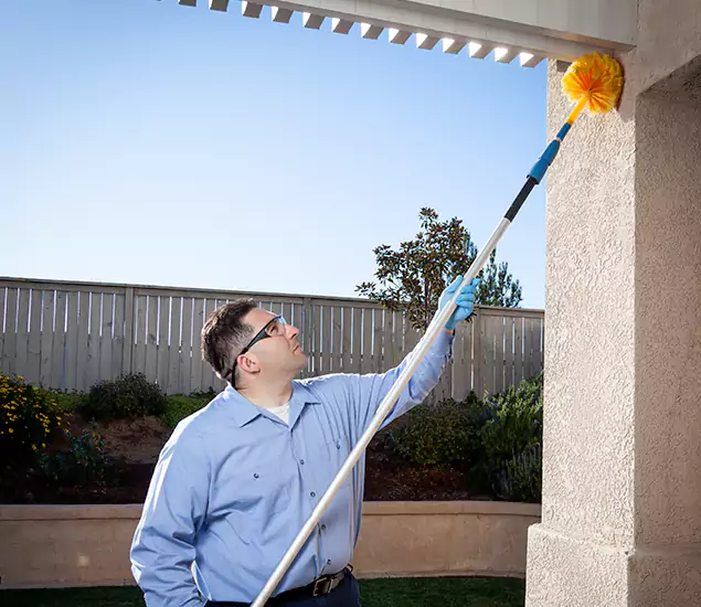 Your Trusted Wasp Removal Company in Caldwell, ID