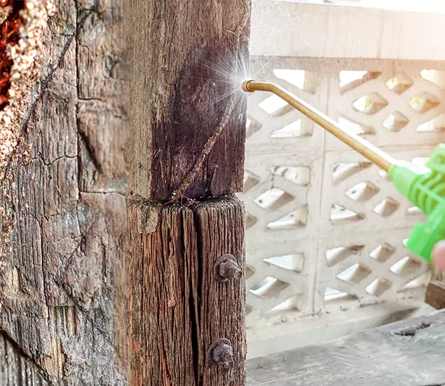 About Wood Termite Treatment Services in Caldwell, ID