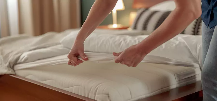 Bed Bug Extermination Services in Caldwell