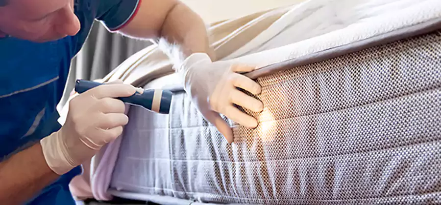 Residential Bed Bug Treatment Cost in Caldwell