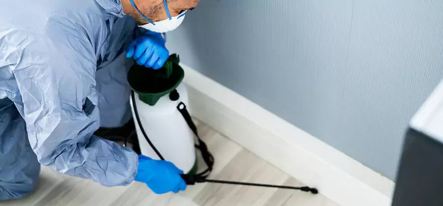 Fumigate Apartment Roaches in Caldwell