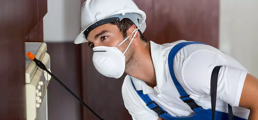 Injection Foam Treatment for Drywood Termites in Caldwell