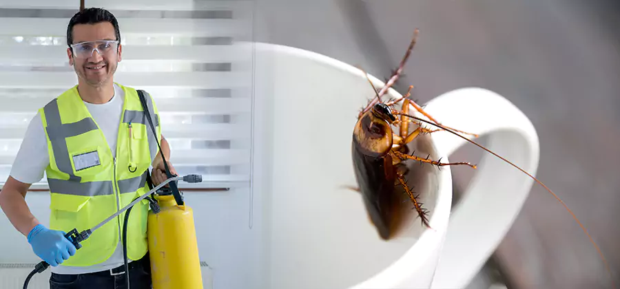 German Roach Infestation Treatment Caldwell