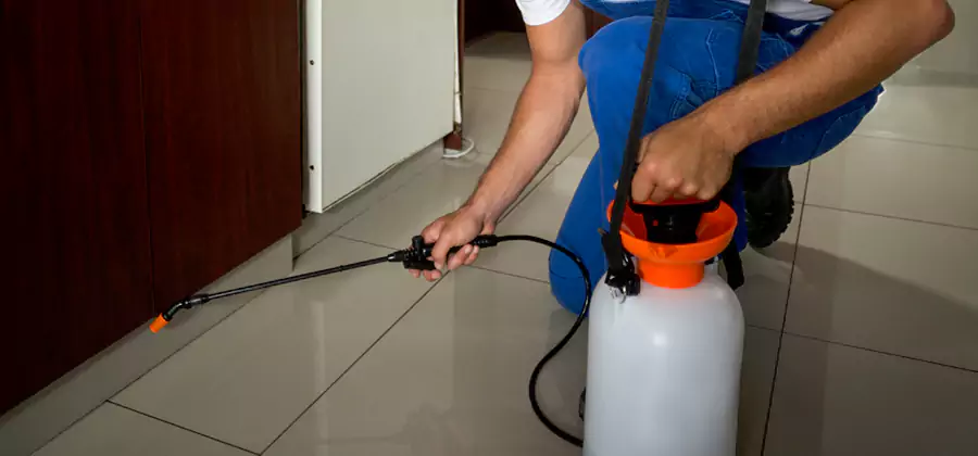 Indoor Mosquito Treatment in Caldwell