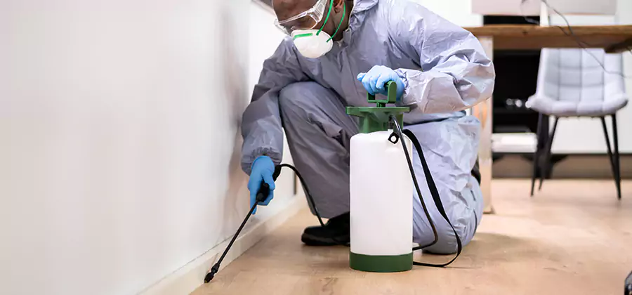 Long Lasting Mosquito Treatment in Caldwell