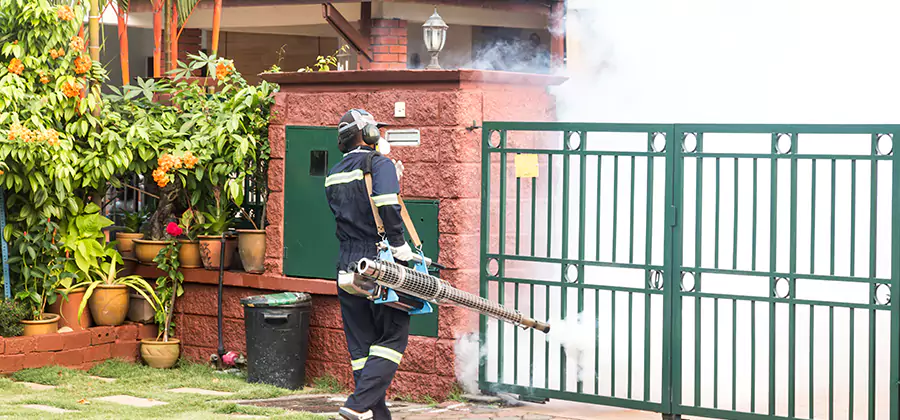 Backyard Mosquito Foggers Service in Caldwell