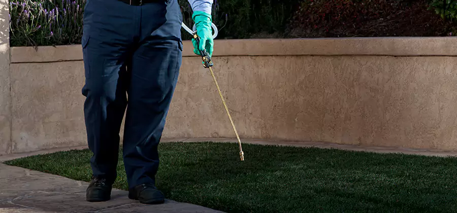 Soil Treatment for New Construction Termites in Caldwell