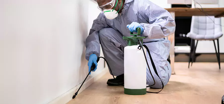 No Tent Termite Extermination With Electric Tool in Caldwell