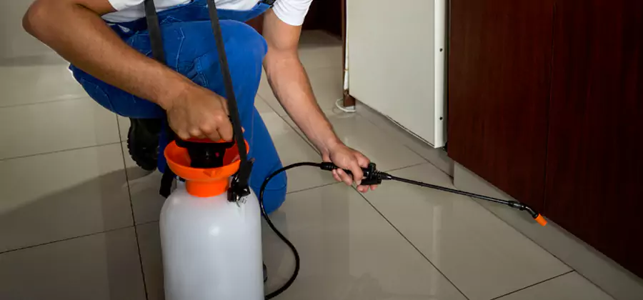 One Time Termite Control in Caldwell