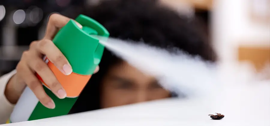 Child Safe Bed Bug Treatment in Caldwell