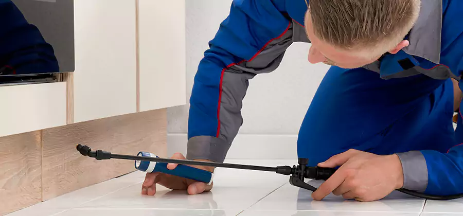 Moisture Treatment For Termite Control Service in Caldwell