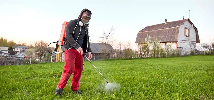 Flea and Tick Pest Control in Caldwell