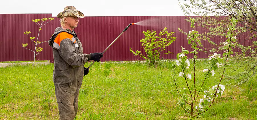 Flea and Tick Spray for Yard in Caldwell