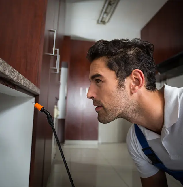 Why Choose Caldwell Pest Control Pro for Bed Bug Removal Cost in Caldwell, ID?