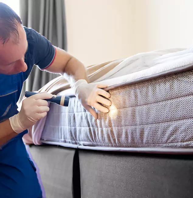 Why Choose Caldwell Pest Control Pro for Bed Bug Services in Caldwell, ID?