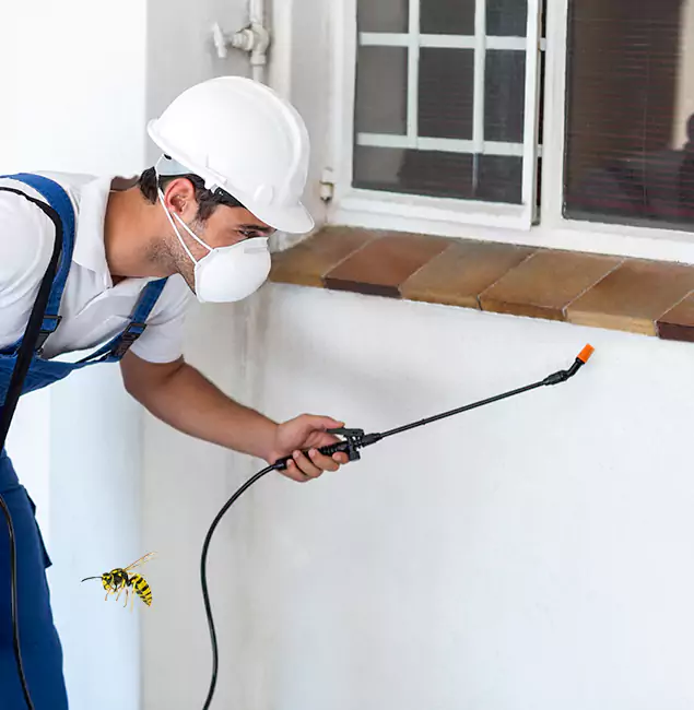 Why Caldwell Property Owners Choose Caldwell Pest Control Pro for Bee Nest Removal?