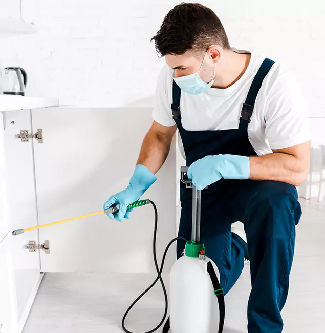 Why Choose Caldwell Pest Control Pro for Emergency Pest Control in Caldwell?