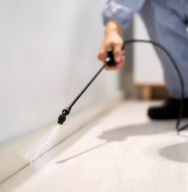 Why Choose Caldwell Pest Control Pro for Termite Treatment in Caldwell, ID?