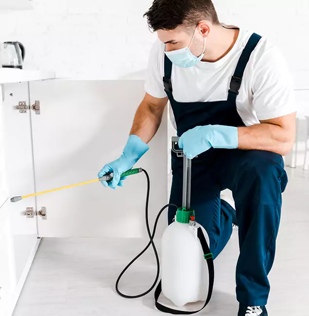 Why Choose Caldwell Pest Control Pro for Indoor Pest Control in Caldwell, ID?