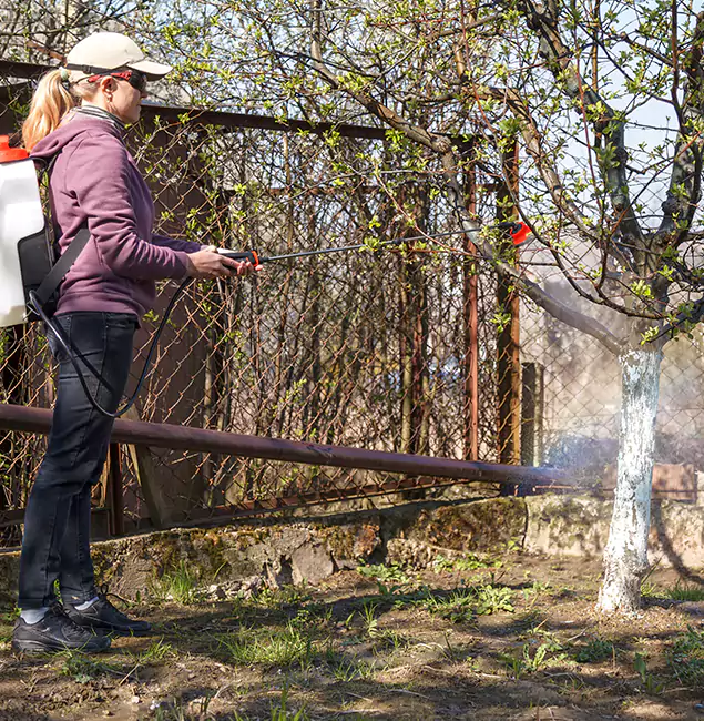 Why Caldwell Homeowners Choose Caldwell Pest Control Pro for Mosquito Abatement?