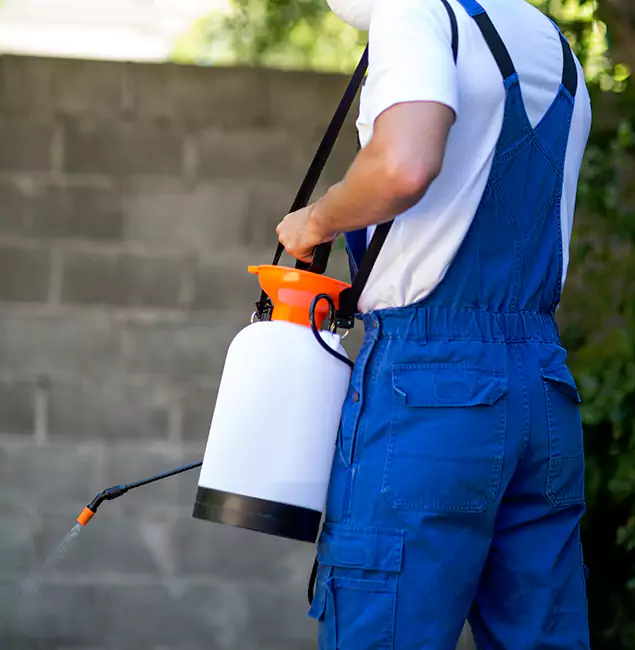 Why Caldwell Homeowners Rely on Caldwell Pest Control Pro for Mosquito Control?