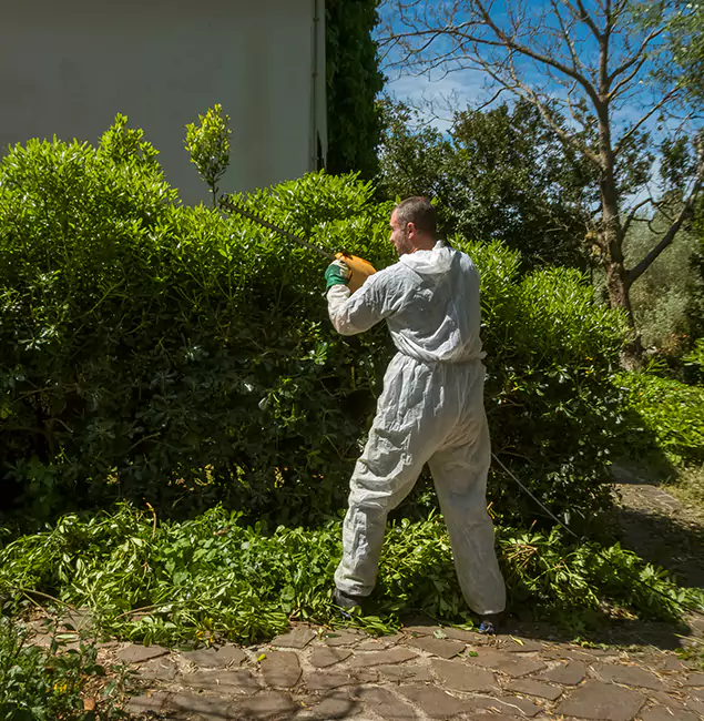 Why Caldwell Pest Control Pro Leads Mosquito Control in Caldwell, ID?