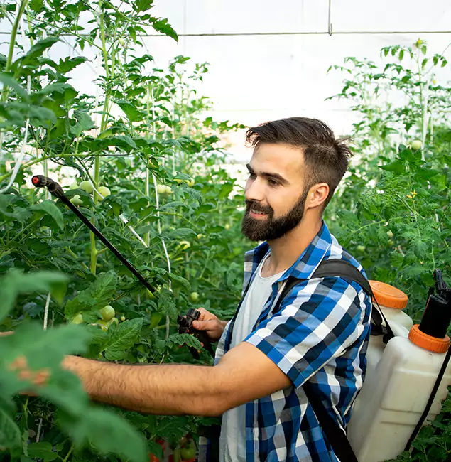 Why Caldwell Homeowners Choose Caldwell Pest Control Pro for Mosquito Spraying?
