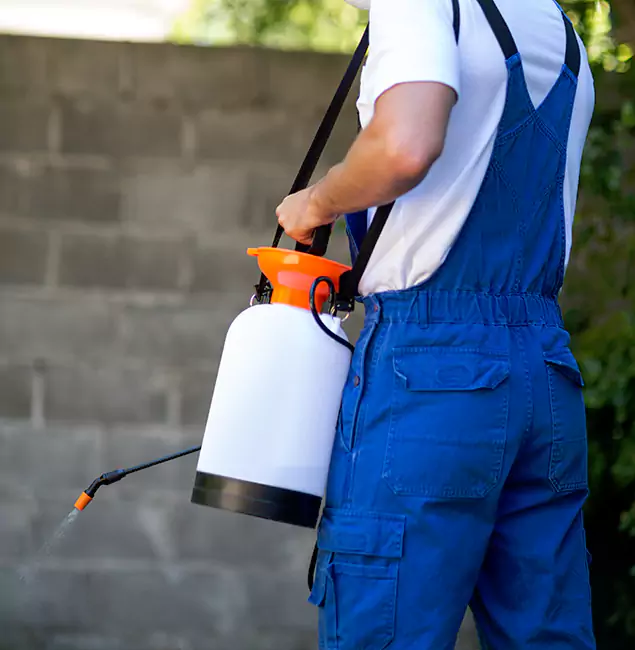 Why Caldwell Pest Control Pro Delivers the Best Mosquito Control in Caldwell, ID?