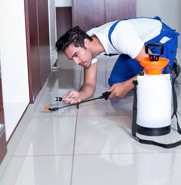 Why Caldwell Pest Control Pro Is the Proven Choice in Caldwell, ID?