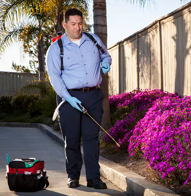 Why Choose Caldwell Pest Control Pro in Caldwell, ID?