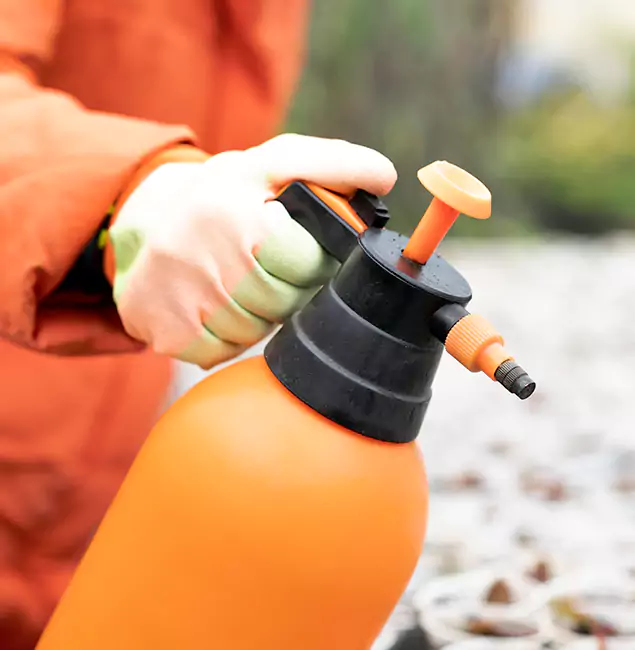 Why Choose Caldwell Pest Control Pro for Orange Termite Treatment in Caldwell, ID?