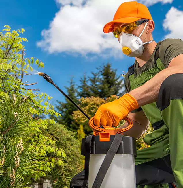 Why Choose Caldwell Pest Control Pro for Outdoor Pest Control in Caldwell, ID?