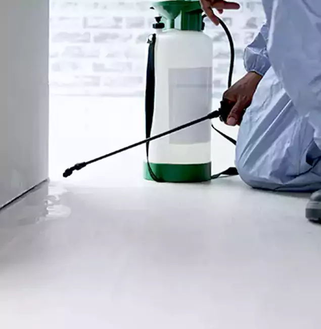 Why Choose Caldwell Pest Control Pro for Rat Exterminator in Caldwell, ID?