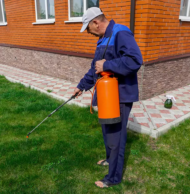Why Choose Caldwell Pest Control Pro for Residential Pest Control in Caldwell, ID?