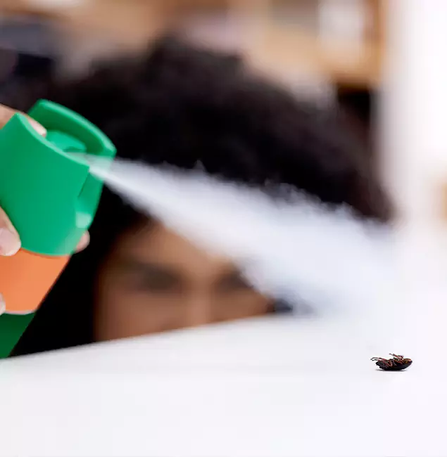 Why Caldwell, ID Homeowners Choose Caldwell Pest Control Pro for Roach Pest Control?