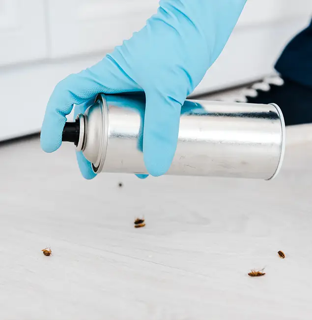 Why Choose Caldwell Pest Control Pro for Safe Bed Bug Treatment in Caldwell, ID?