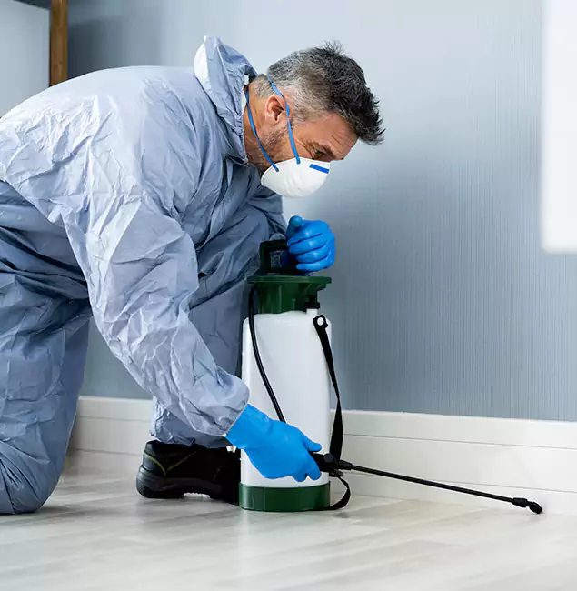 Why Choose Caldwell Pest Control Pro for Subterranean Termites Treatment in Caldwell, ID?
