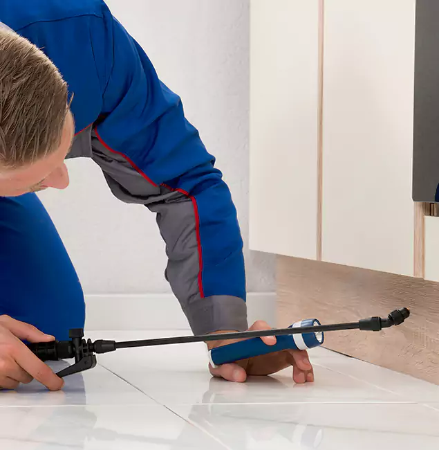 Why Caldwell Residents Choose Caldwell Pest Control Pro to Get Rid of Sugar Ants?