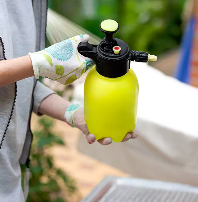 Why Choose Us: Caldwell Pest Control Pro Termite Spraying Experts in Caldwell, ID?
