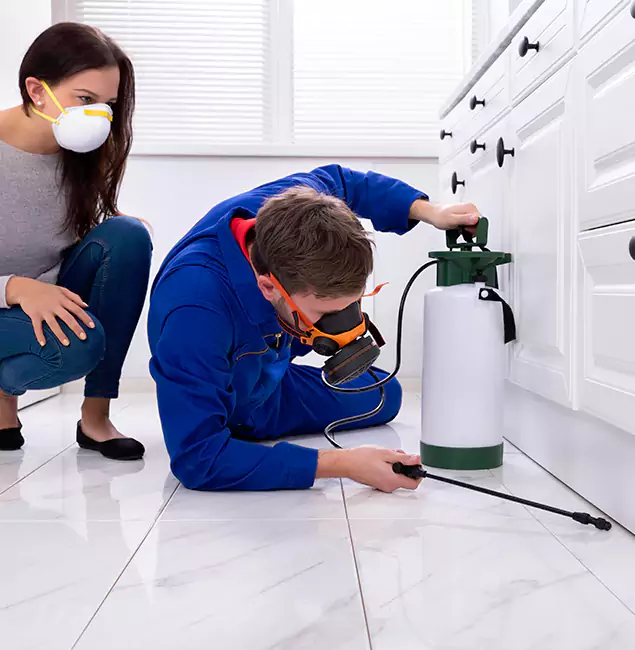 Why Choose Wood Termite Treatment by Caldwell Pest Control Pro in Caldwell, ID?