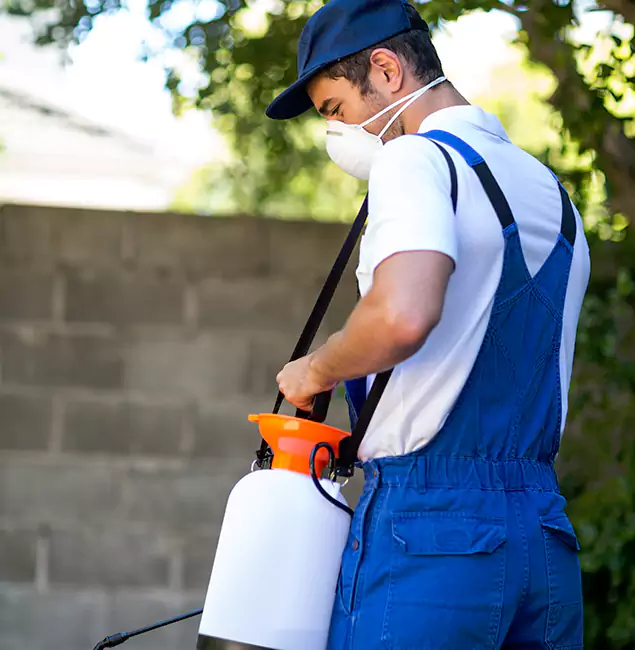 Why Caldwell Pest Control Pro Is the Right Choice for Yellow Jacket Removal in Caldwell, ID?