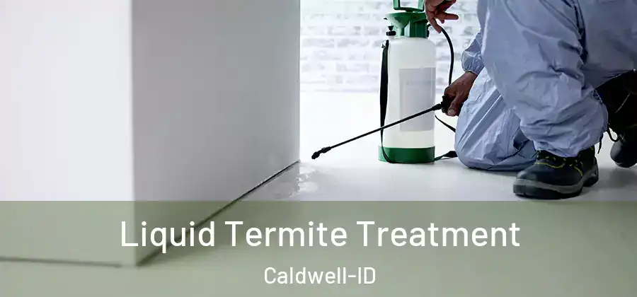 Liquid Termite Treatment Caldwell-ID