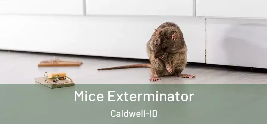  Mice Exterminator Caldwell-ID
