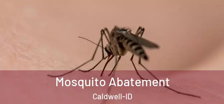 Mosquito Abatement Caldwell-ID