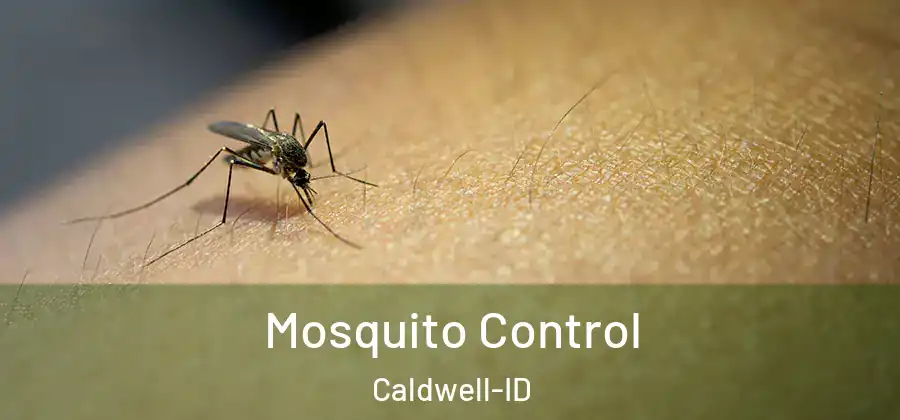 Mosquito Control Caldwell-ID