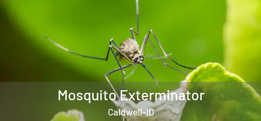 Mosquito Exterminator Caldwell-ID