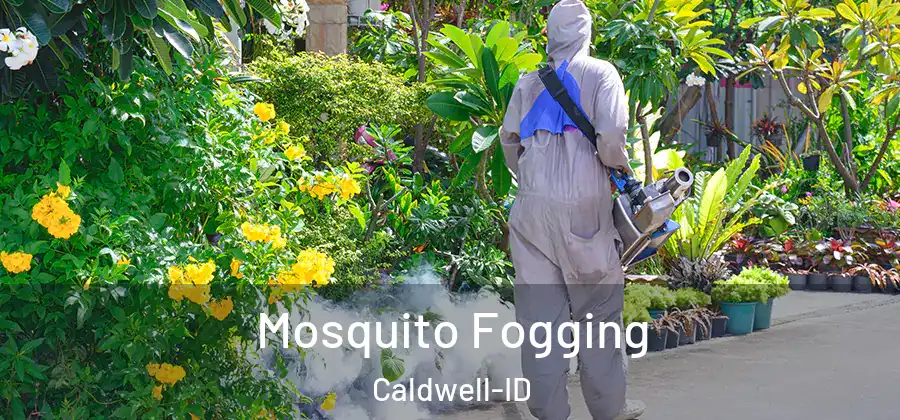 Mosquito Fogging Caldwell-ID
