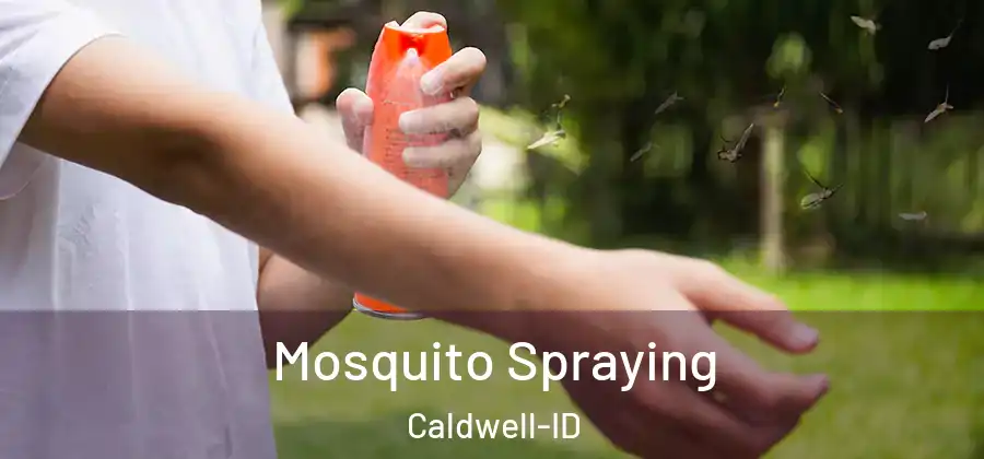 Mosquito Spraying Caldwell-ID