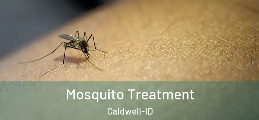 Mosquito Treatment Caldwell-ID
